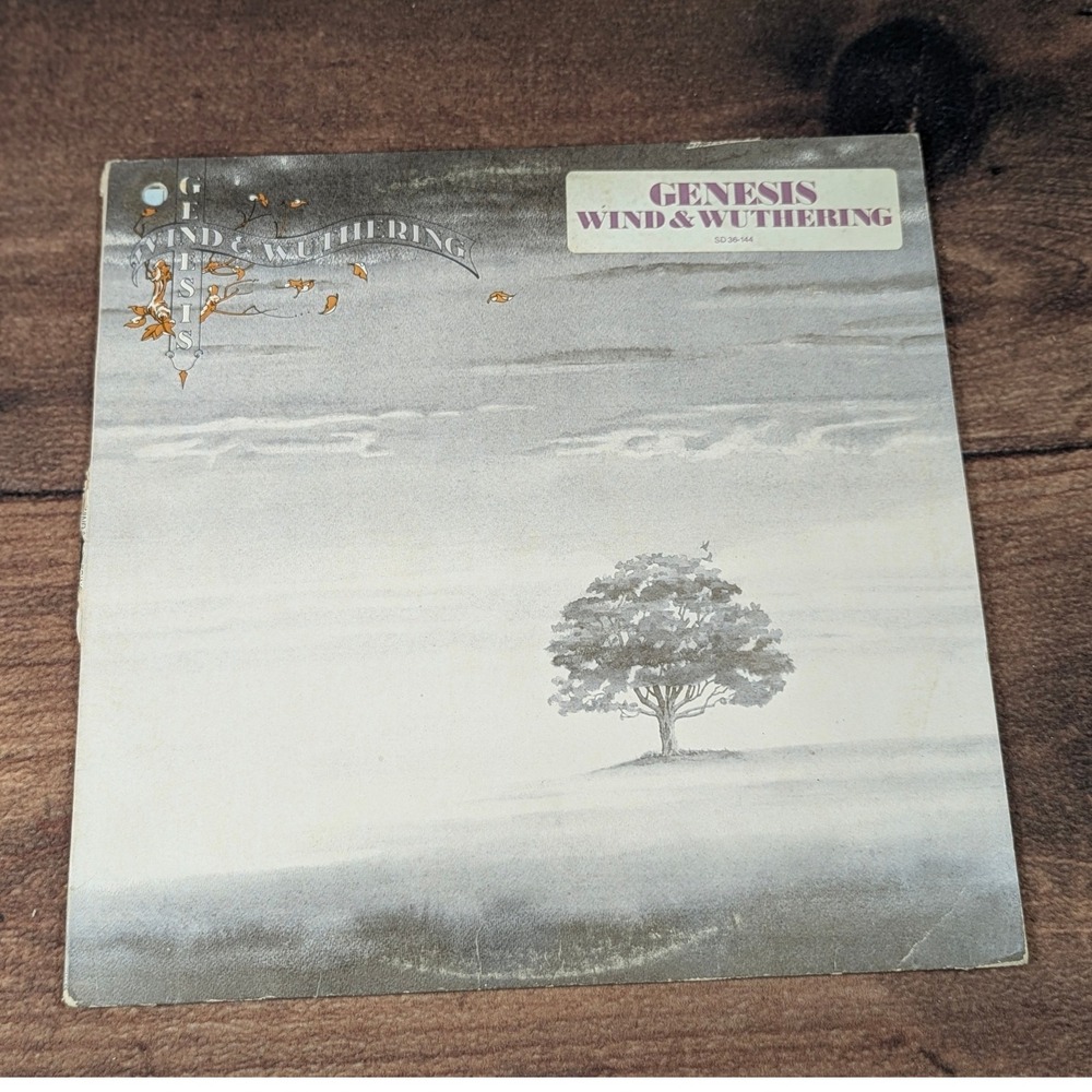 Genesis Wind & Wuthering Vinyl Record Album Vintage Rock Music Collectible‎ G/G